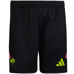 AS Roma Goalkeeper*Goalkeeper Shorts 2024/25, Adult
